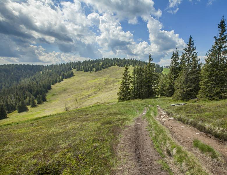 Dolina Brennicy szlaki górskie